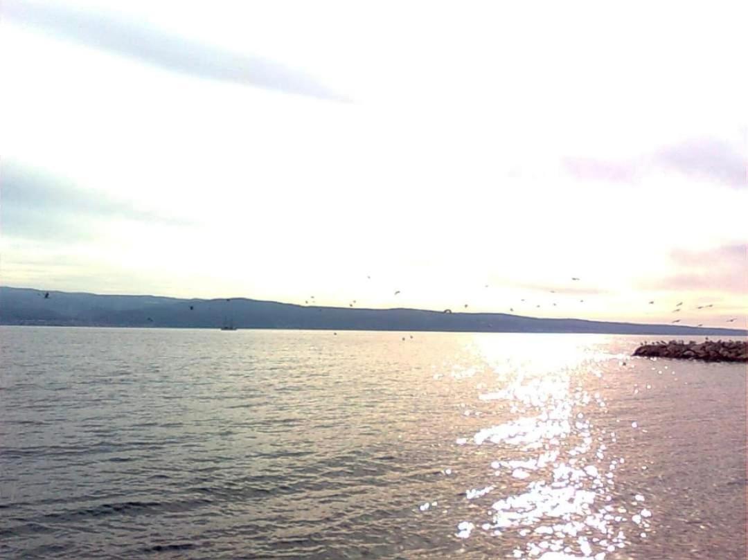Apartmani Branko Vojnovic Omiš Rum bild